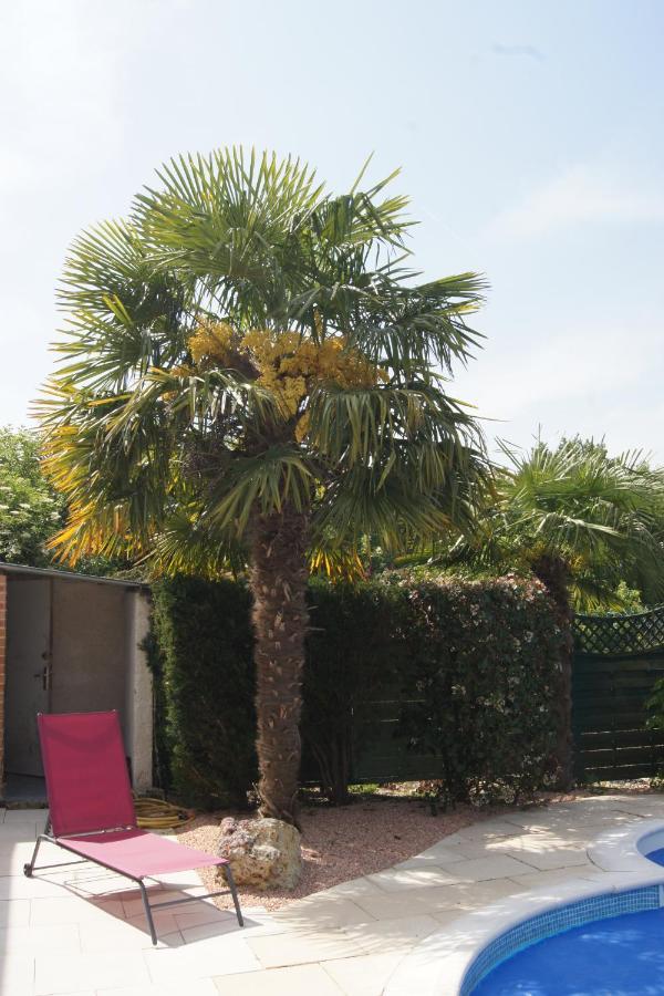 Chambres D Hotes De La Mauguiniere Neuillé-le-Lierre Exterior foto